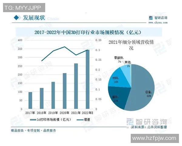 南京排球队实力分析与未来发展潜力的深入探讨