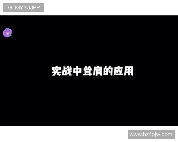 深度分析上海排球队防反战术的独特魅力与实战应用